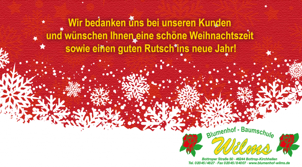 Vielen Dank!