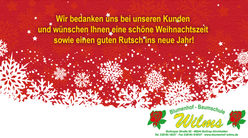 Frohe Weihnachten und einen guten Rutsch ins Jahr 2022