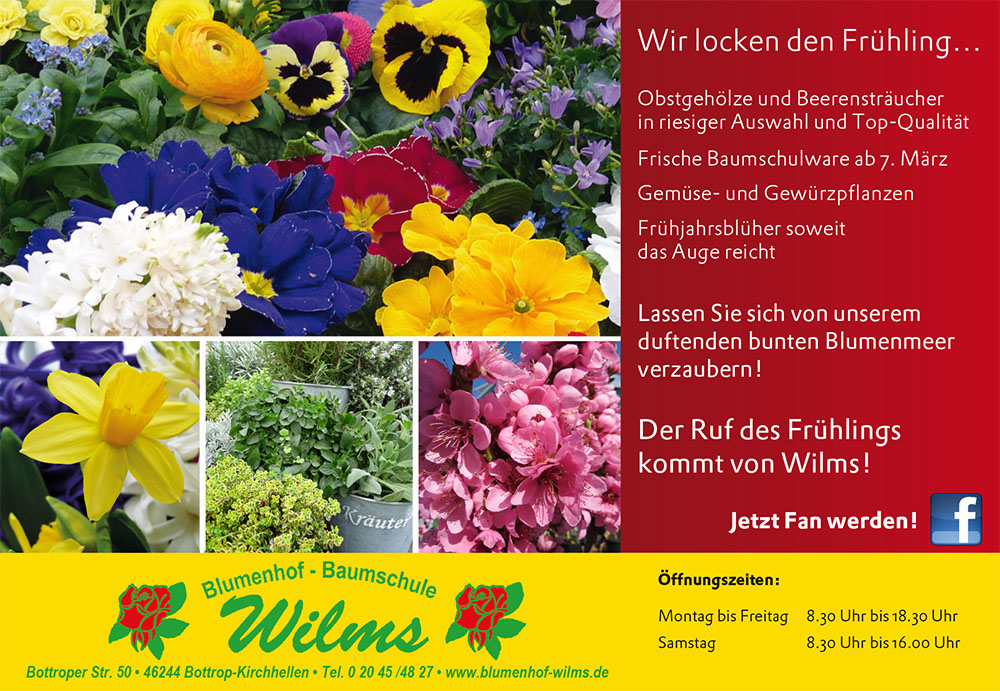 Wir locken den Frühling