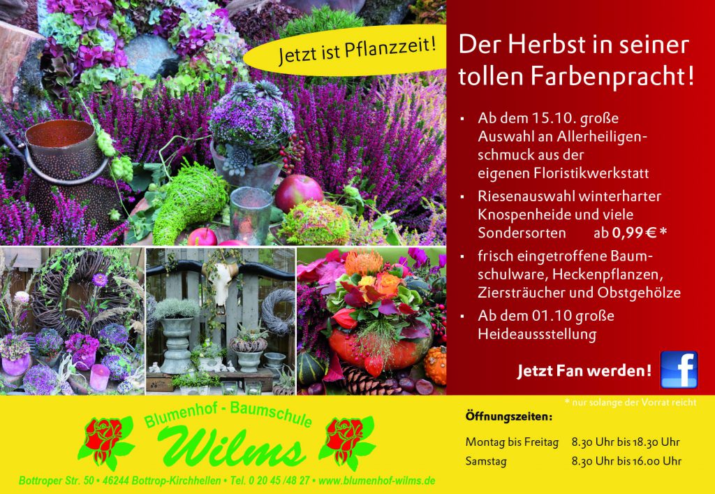 Der Herbst in seiner tollen Farbenpracht