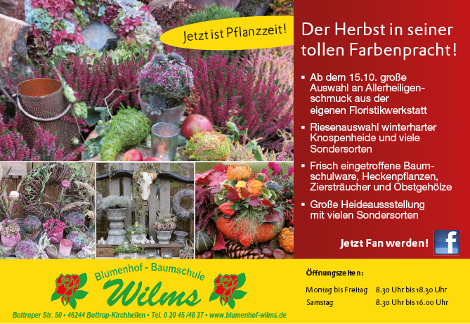 Der Herbst in seiner tollen Farbenpracht