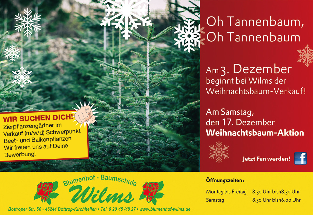 Oh Tannenbaum, Oh Tannenbaum