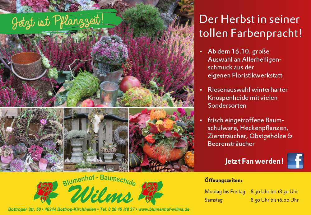 Der Herbst in seiner tollen Farbenpracht !