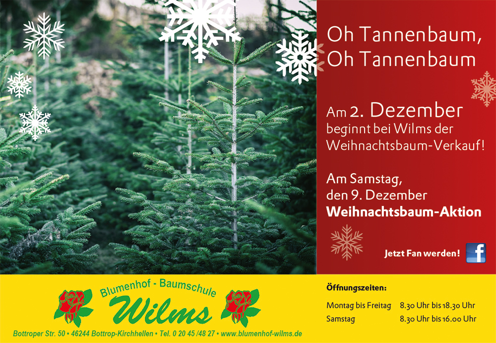 Oh Tannenbaum, Oh Tannenbaum