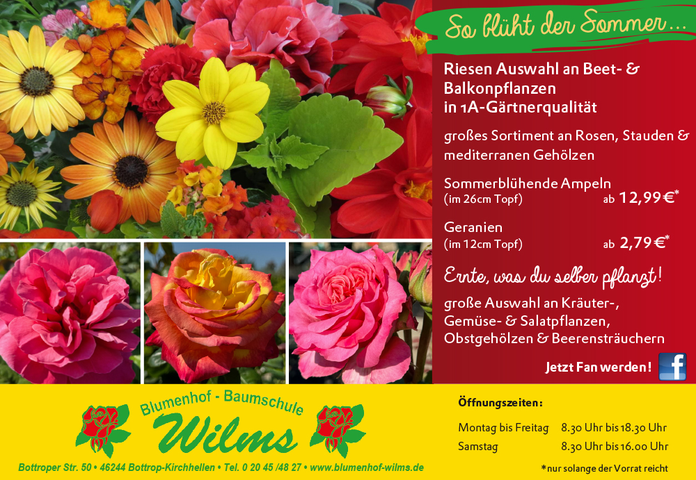 So Blüht der Sommer