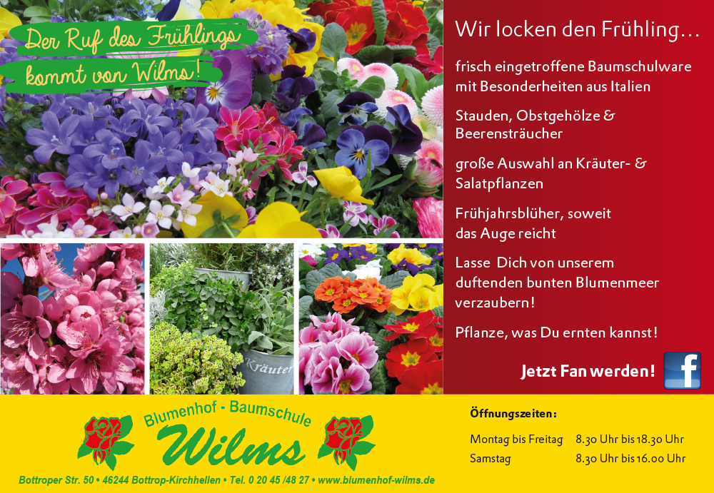 Wir locken den Frühling….