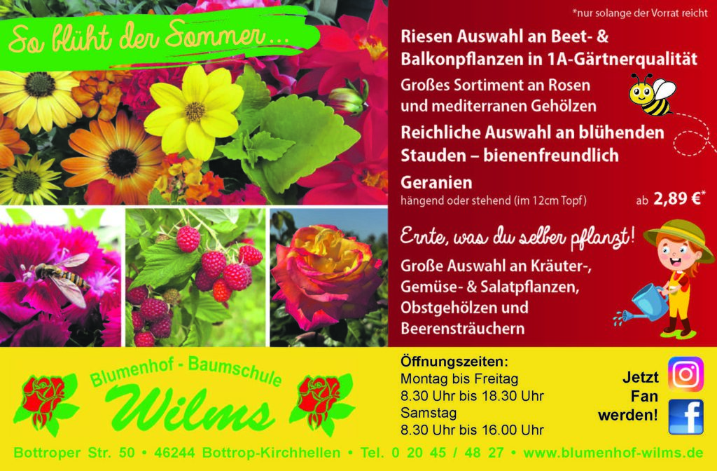 So blüht der Sommer
