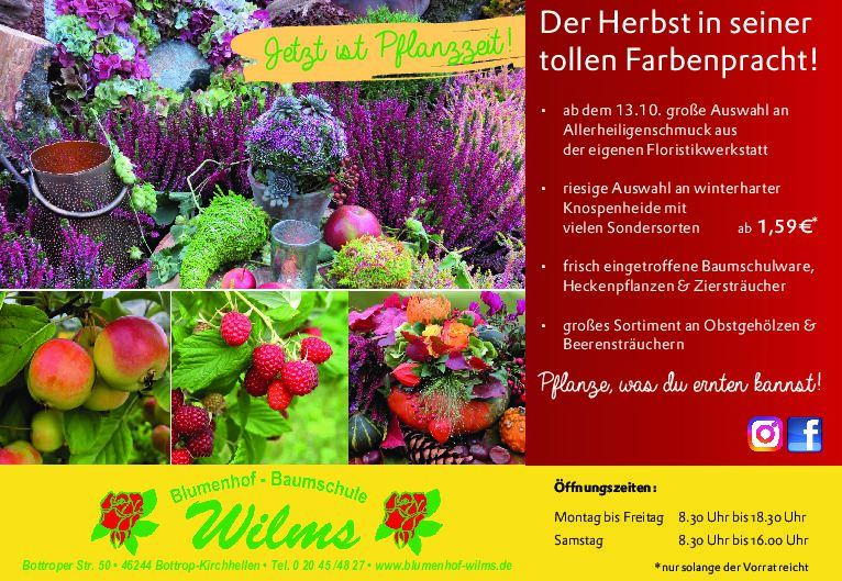 Der Herbst in seiner tollen farbenpracht