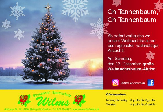 Oh Tannenbaum Oh Tannenbaum