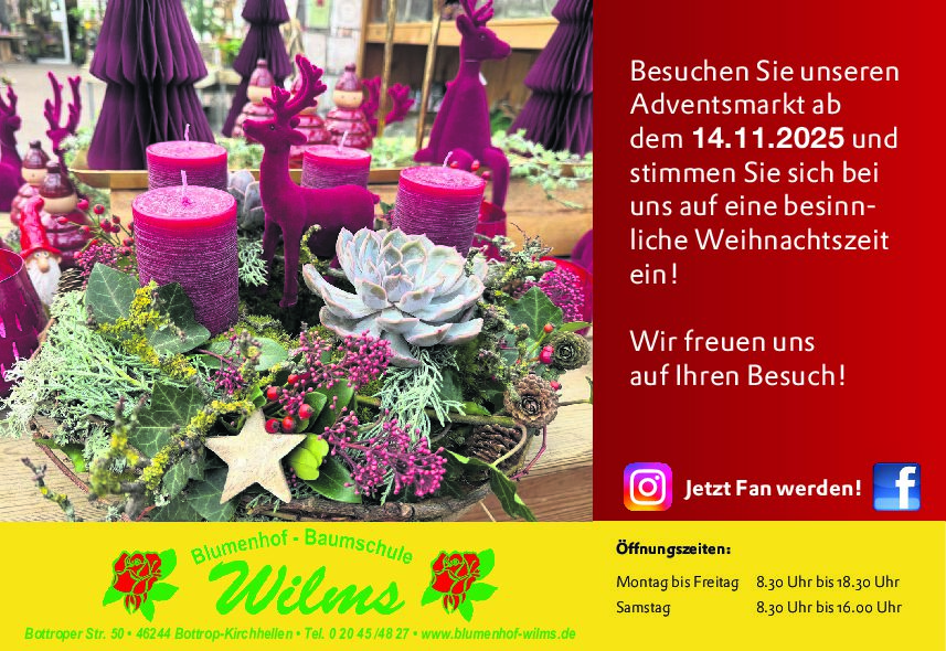 Ab dem 14.11. Startet der Adventsmarkt