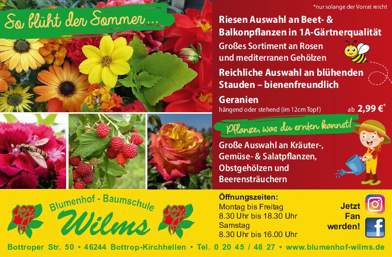 So Blüht der Sommer…… So Blüht der Sommer……