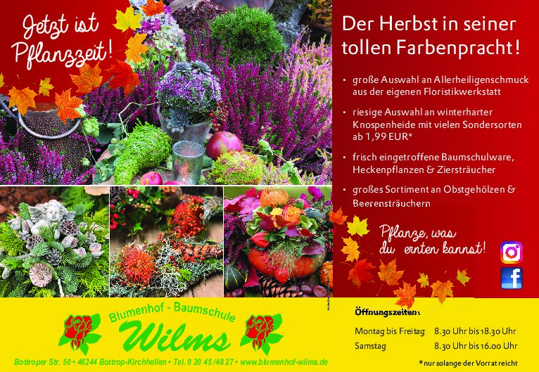 Jetzt ist Pflanzzeit Jetzt ist Pflanzzeit